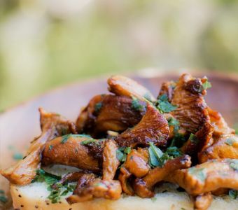 Pickled Chanterelles
