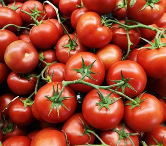 Organic Tomato